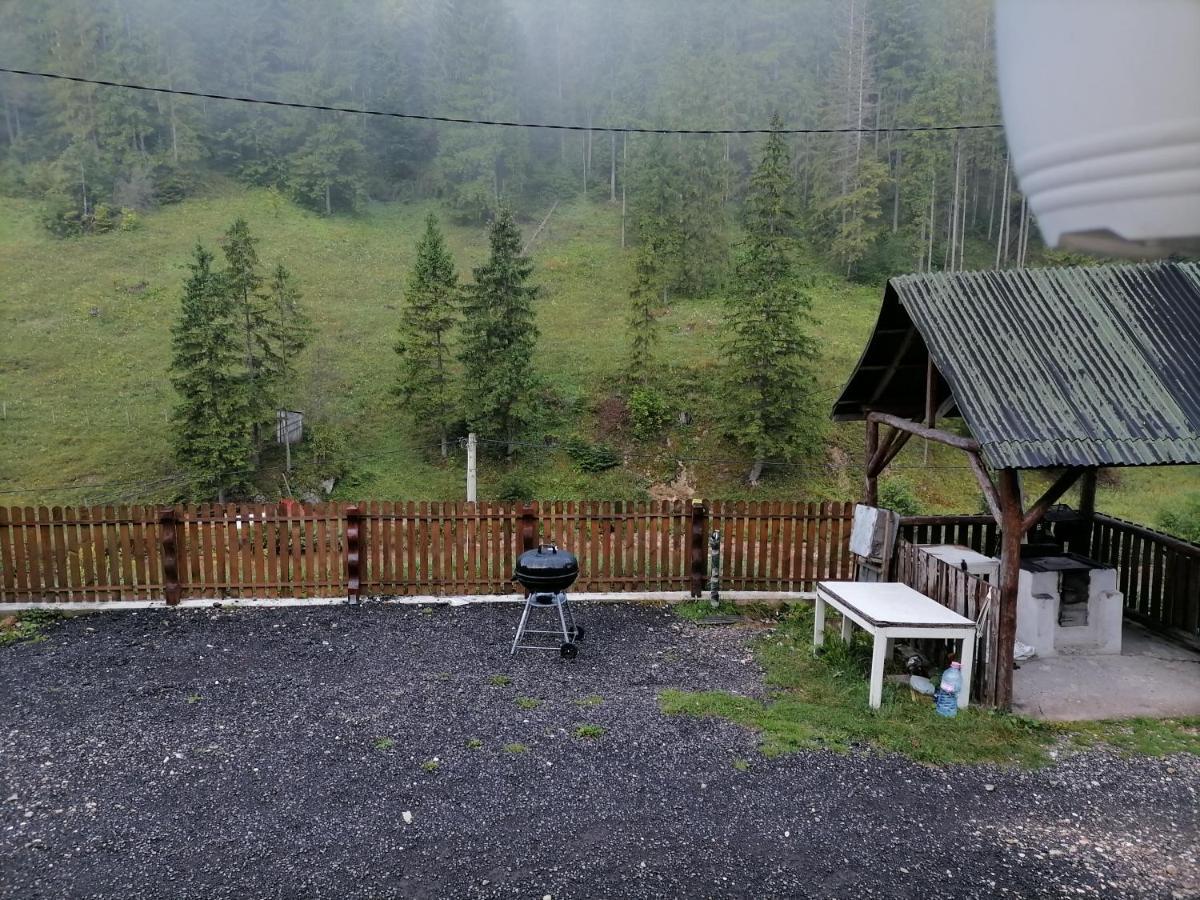 Pensiunea Izabel Lacu Rosu Buitenkant foto