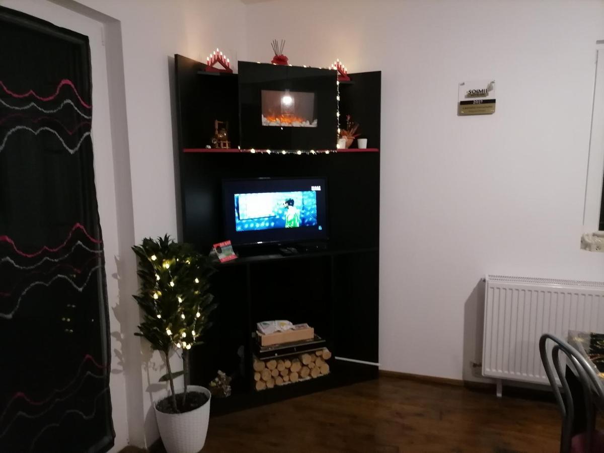 Pensiunea Izabel Lacu Rosu Buitenkant foto