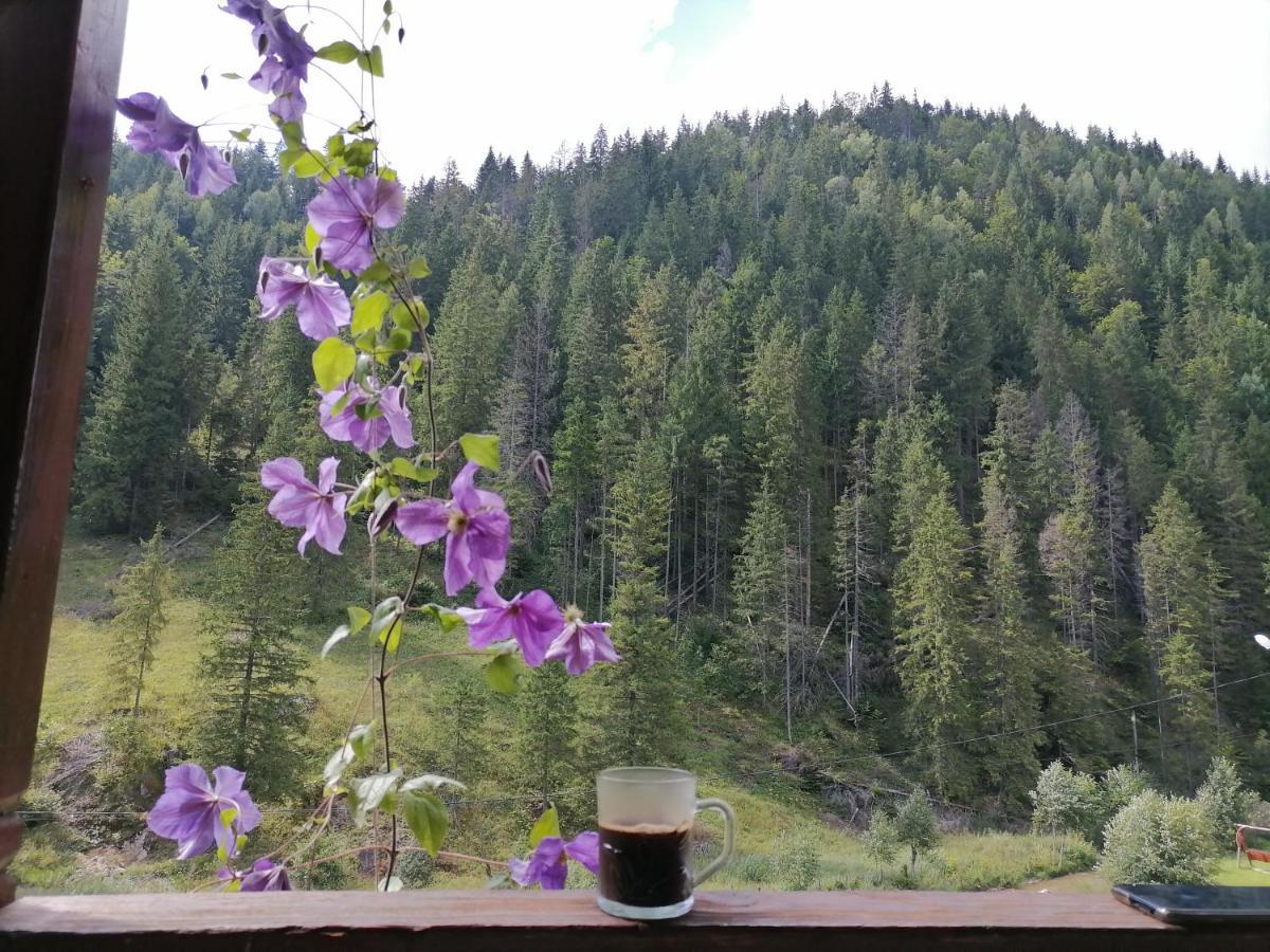 Pensiunea Izabel Lacu Rosu Buitenkant foto