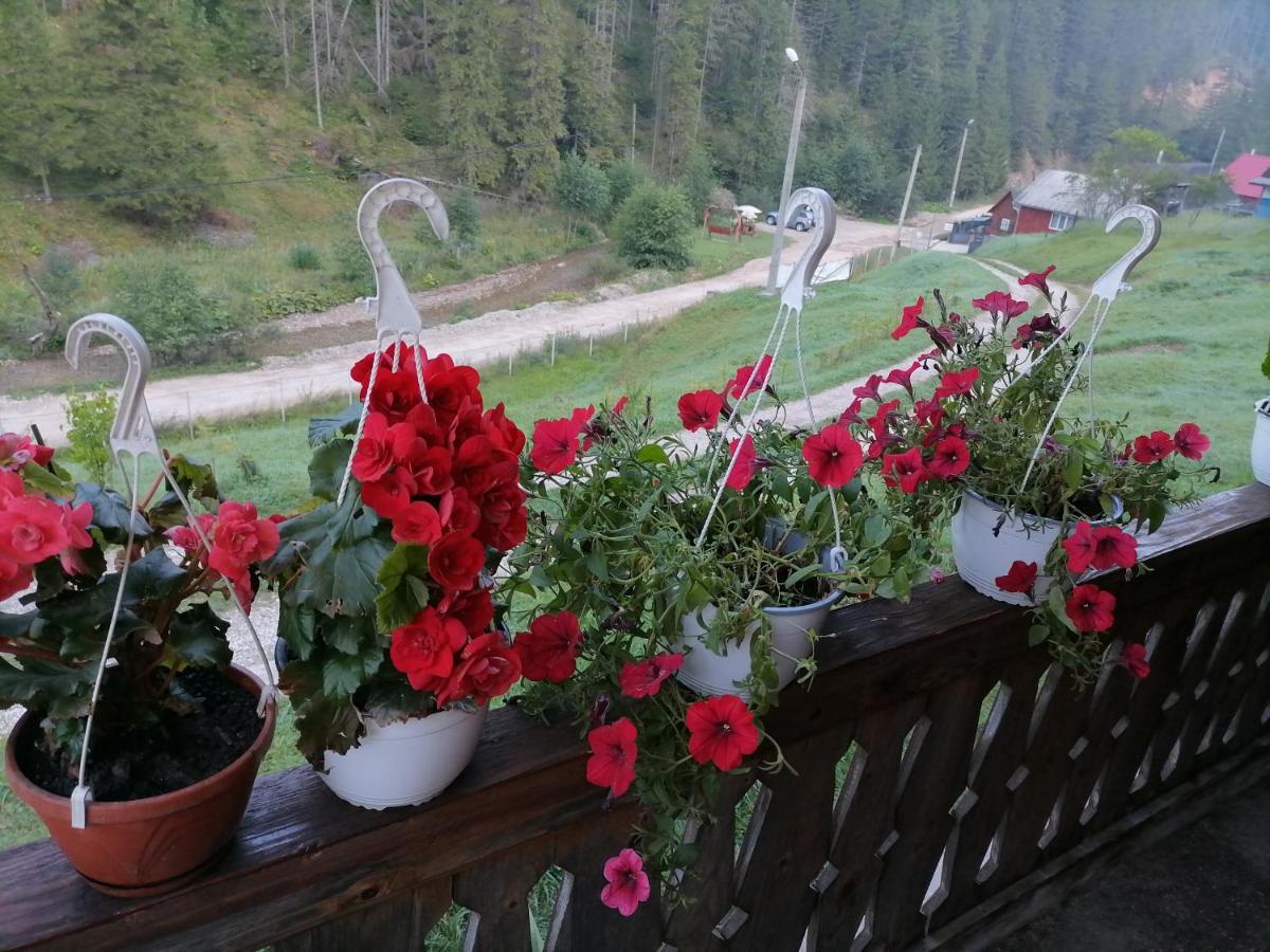 Pensiunea Izabel Lacu Rosu Buitenkant foto