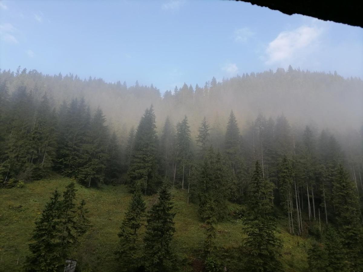 Pensiunea Izabel Lacu Rosu Buitenkant foto