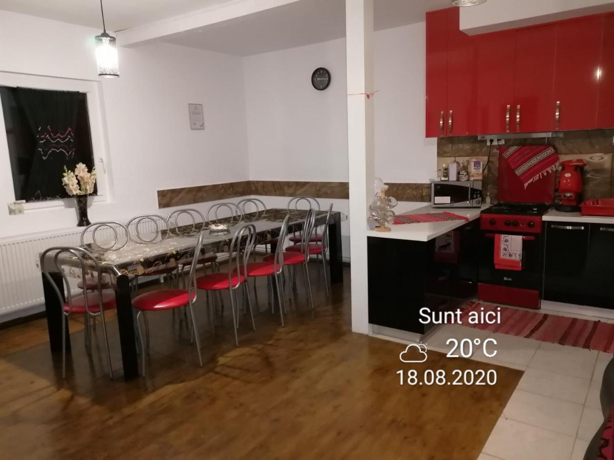 Pensiunea Izabel Lacu Rosu Buitenkant foto