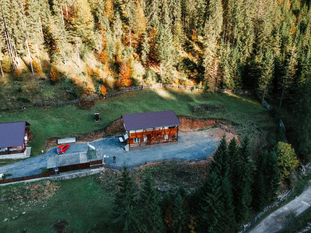 Pensiunea Izabel Lacu Rosu Buitenkant foto