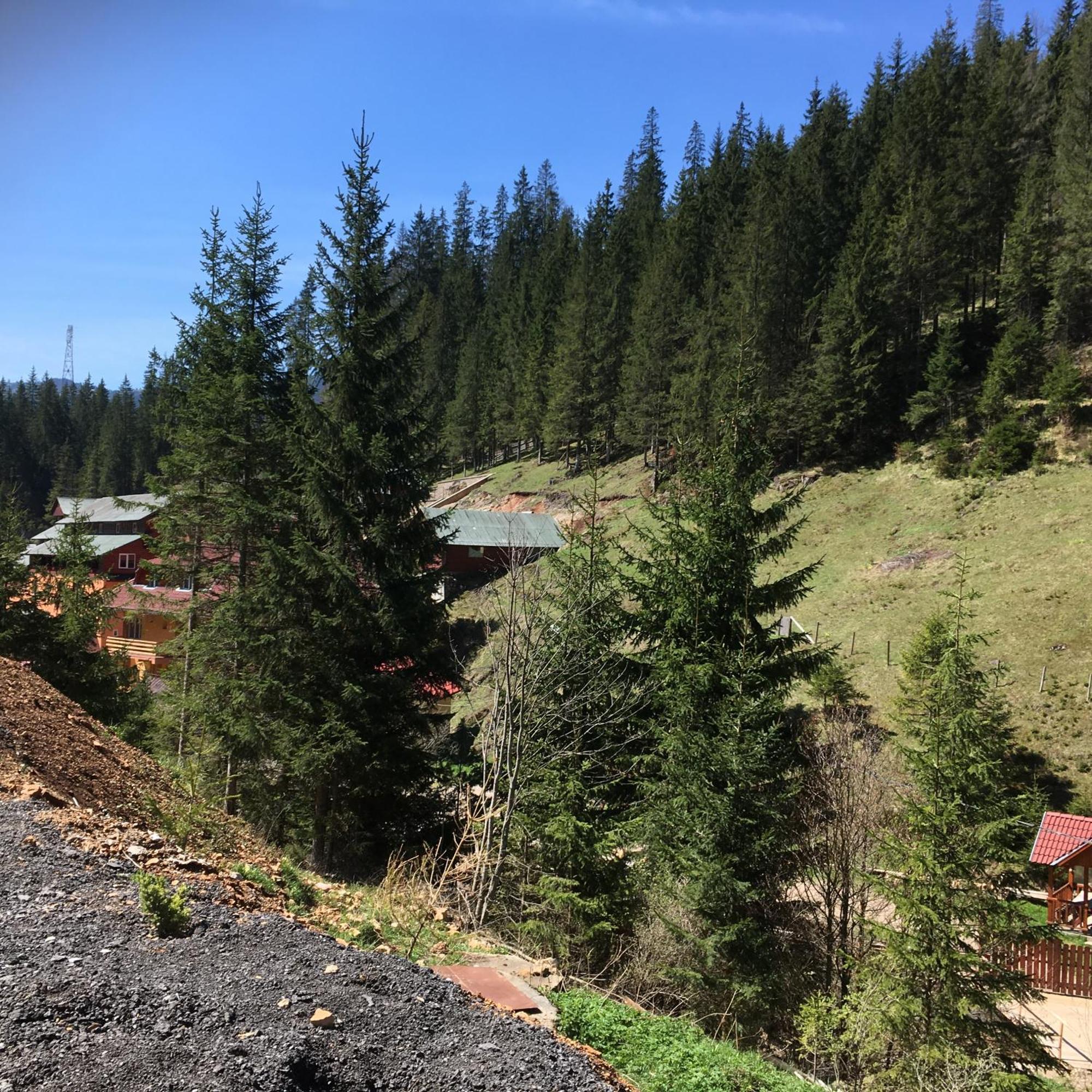 Pensiunea Izabel Lacu Rosu Buitenkant foto