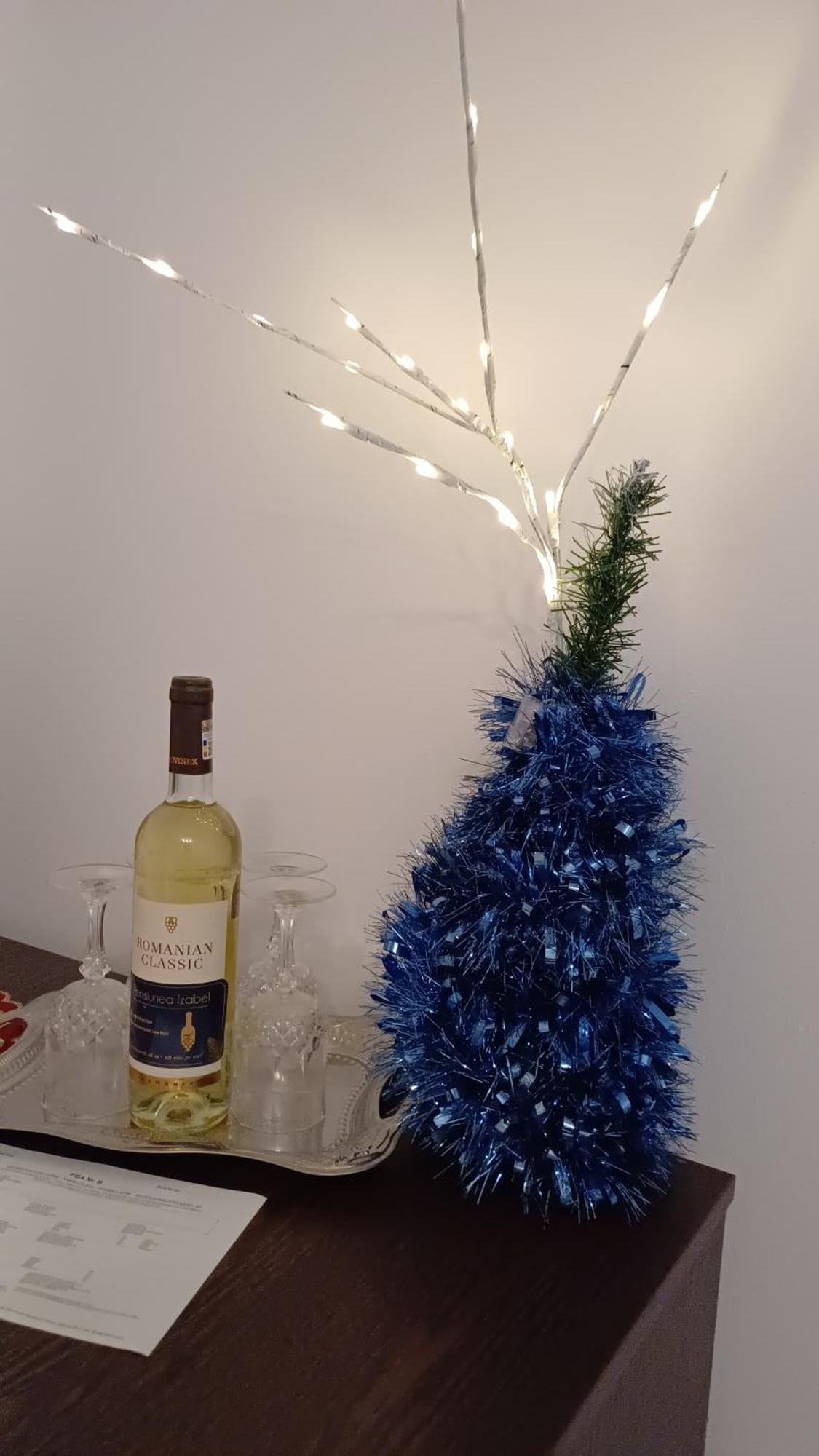 Pensiunea Izabel Lacu Rosu Buitenkant foto